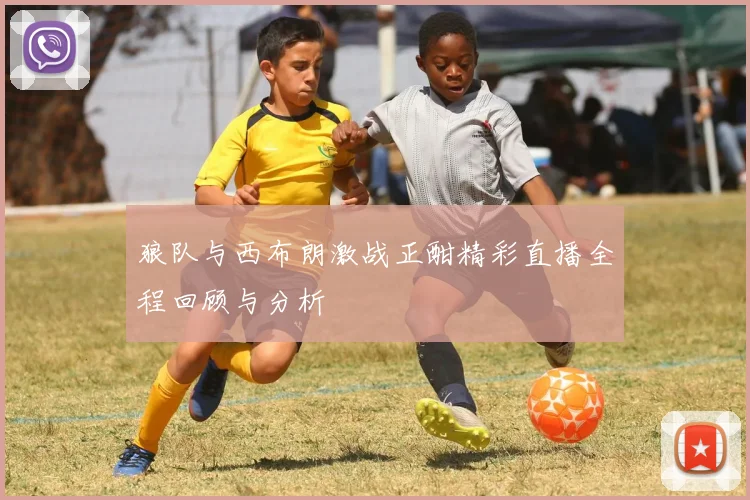狼队与西布朗激战正酣精彩直播全程回顾与分析