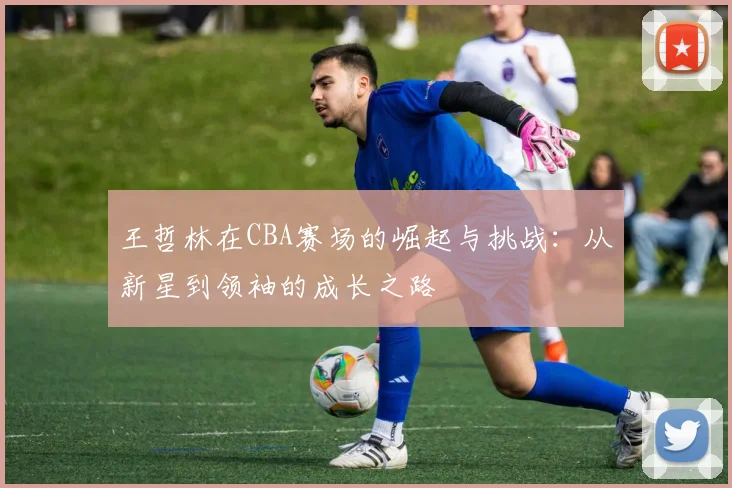 王哲林在CBA赛场的崛起与挑战：从新星到领袖的成长之路