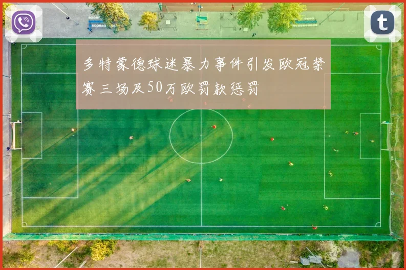 多特蒙德球迷暴力事件引发欧冠禁赛三场及50万欧罚款惩罚